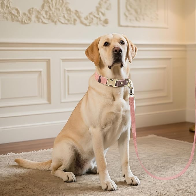 Didog Soft PU Leather Dog Collar for Large Dogs,Classic Adjustable Dog Collars with Quick Release Metal Buckle,Easy Clean and Comfortable with Nylon Lining,Pink,L Neck 15-23"-PawvioPets