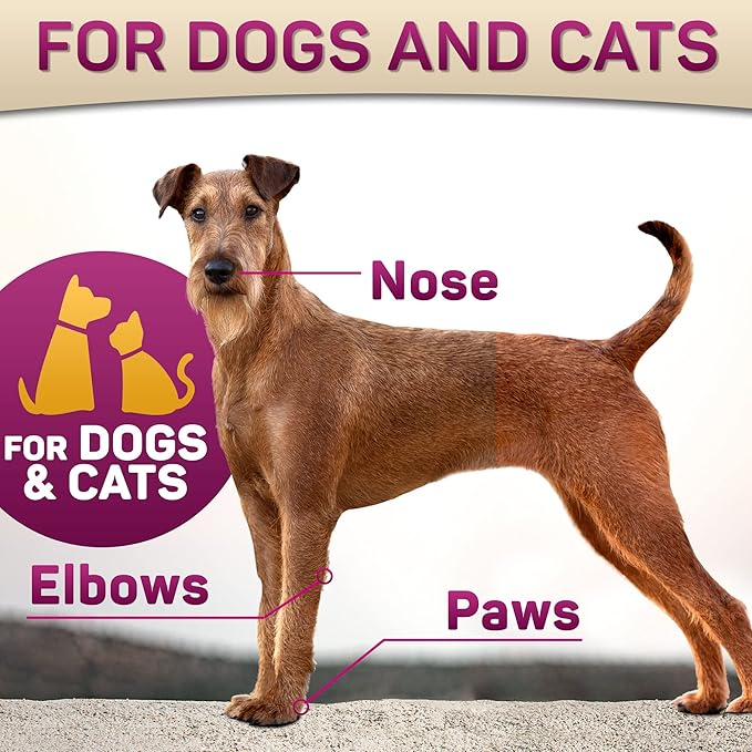 Dog Paw Balm for Dry Cracked Paws – Lick-Safe Moisturizer and Organic Paw Wax with Aloe & Vitamin E – Hot Pavement and Winter Snow Protection – Nose Safe – for All Breeds-PawvioPets