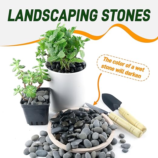 5 lbs Mexican Beach Pebbles, 0.4-1 Inch Natural River Rocks for Indoor Plants Vase Fish Tank Aquarium Fountain, Decorative Stone for Landscaping Garden Paving Walkways Backyard, Grey-PawvioPets