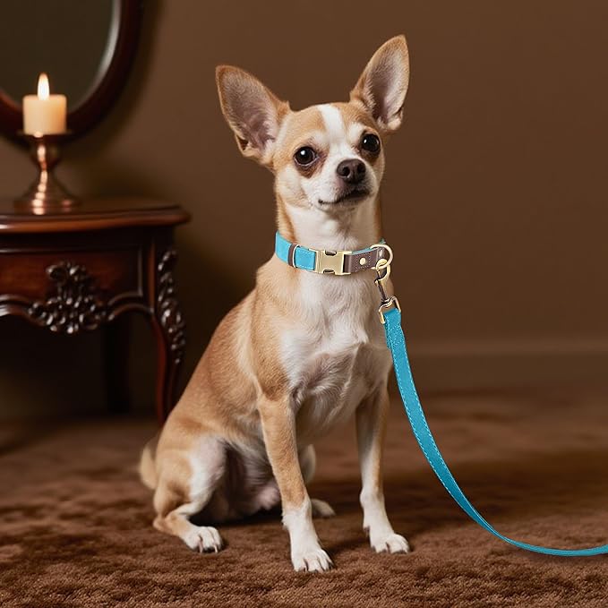 Didog Soft PU Leather Dog Collars for Small Dogs,Classic Adjustable Dog Collars with Quick Release Metal Buckle,Easy Clean and Comfortable with Nylon Lining,Light Blue,S Neck 10-15"-PawvioPets
