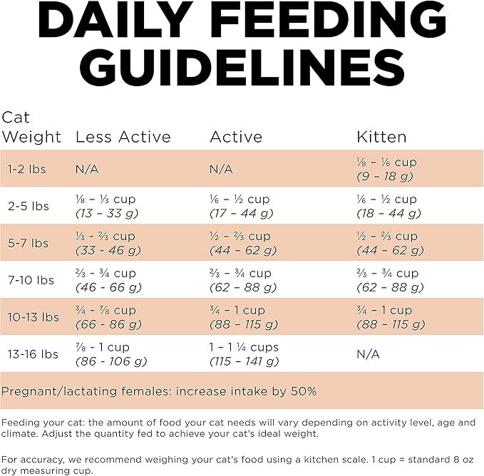 Go! Solutions Skin + Coat Care, Grain-Free Dry Cat Food, Salmon Recipe, 16 lb Bag-PawvioPets