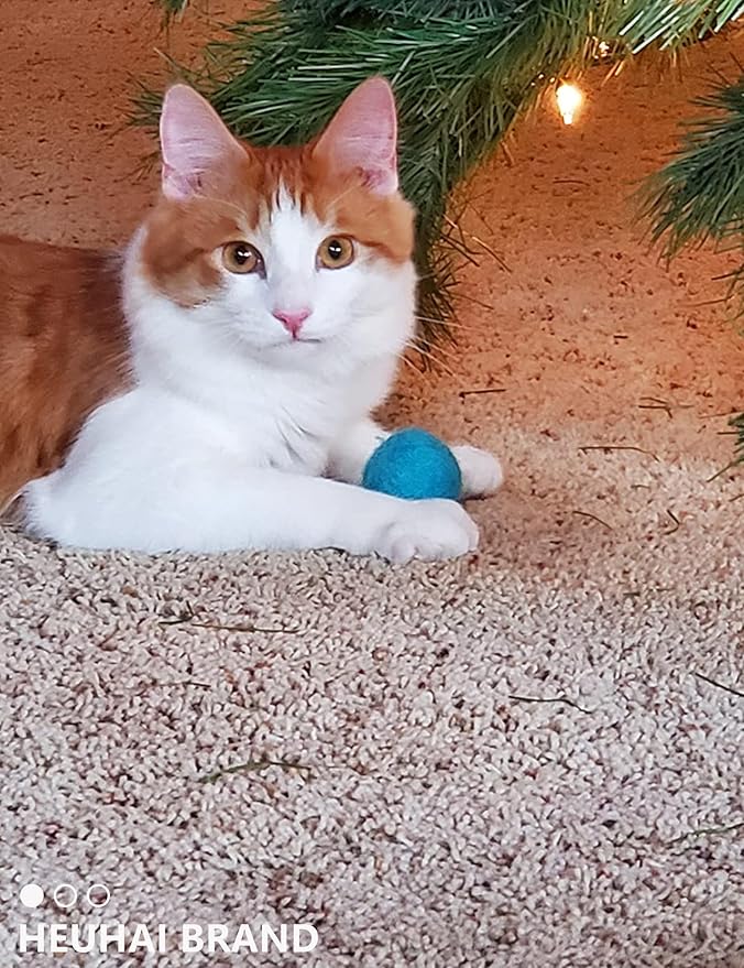 40-Pack Cat Balls – Fun Interactive Toys for Indoor Cats & Kittens (Basic Cat Toy Set)-PawvioPets