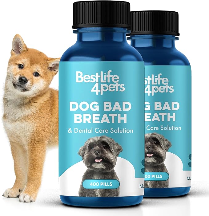 Dog Dental Care & Bad Breath Remedy, Natural Dog Oral Care for Healthy Teeth, Mouth & Gums, Daily Canine Breath Freshener, Plaque, Tartar Control Helps Reduce Gingivitis, Easy to Use 800 Tiny Pills-PawvioPets