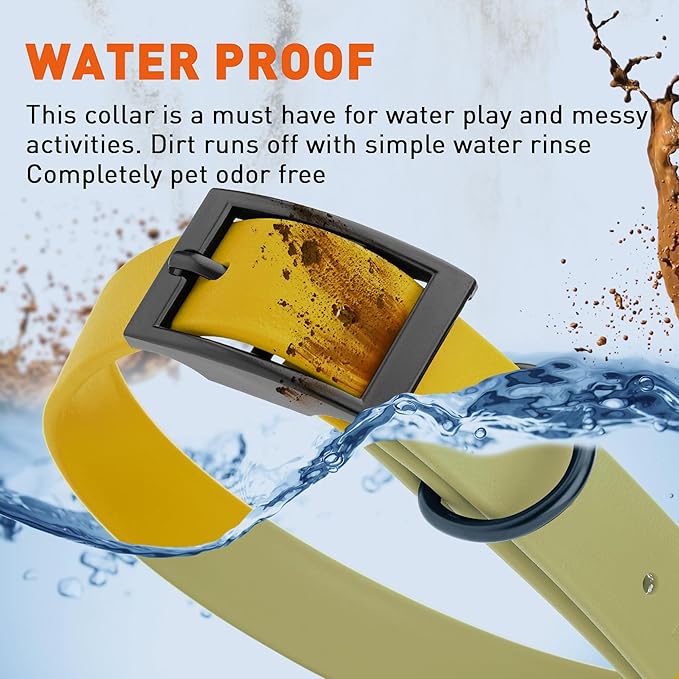 Dogline Biothane Waterproof Dog Collar Strong Coated Nylon Webbing with Black Hardware Odor- Proof for Easy Care Easy to Clean High Performance Fits Small Medium or Large Dogs, Treasure Gold-PawvioPets