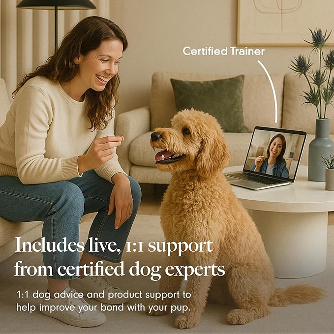 LAY LO Treat Dispensing Dog Toy – Natural Rubber Topple Toy for Chewing, Enrichment & Mental Stimulation | Dog Treat Dispenser Puzzle | Dishwasher Safe | Includes Live Trainer Support-PawvioPets