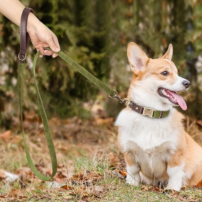 Didog Soft PU Leather Dog Collars for Small Dogs,Classic Adjustable Dog Collars with Quick Release Metal Buckle,Easy Clean and Comfortable with Nylon Lining,Olive Green,S Neck 10-15"-PawvioPets