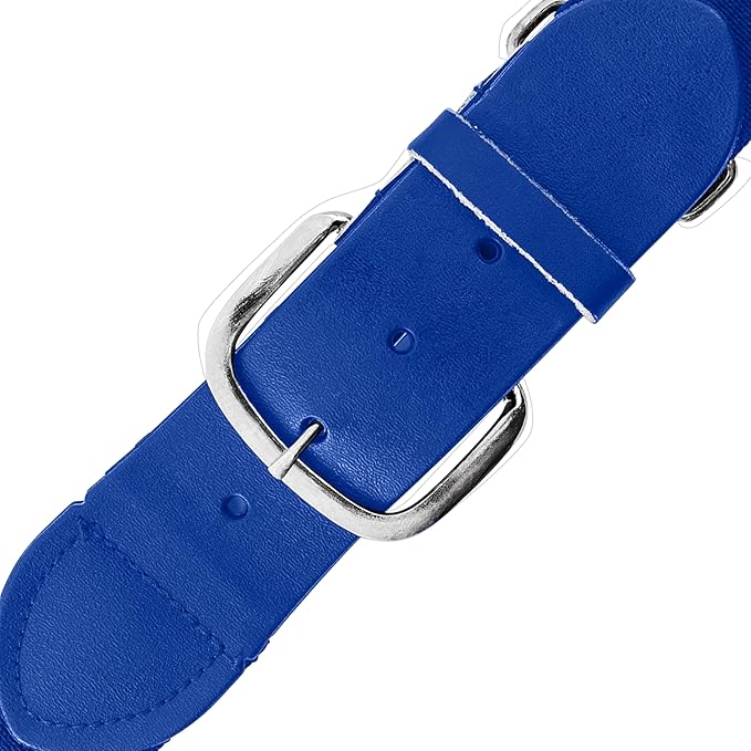 Champion Sports Baseball/Softball Uniform Belt, Comfort Stretch Fit Durable Syntex Tab - Youth & Adult Sizes, Multiple Colors-PawvioPets