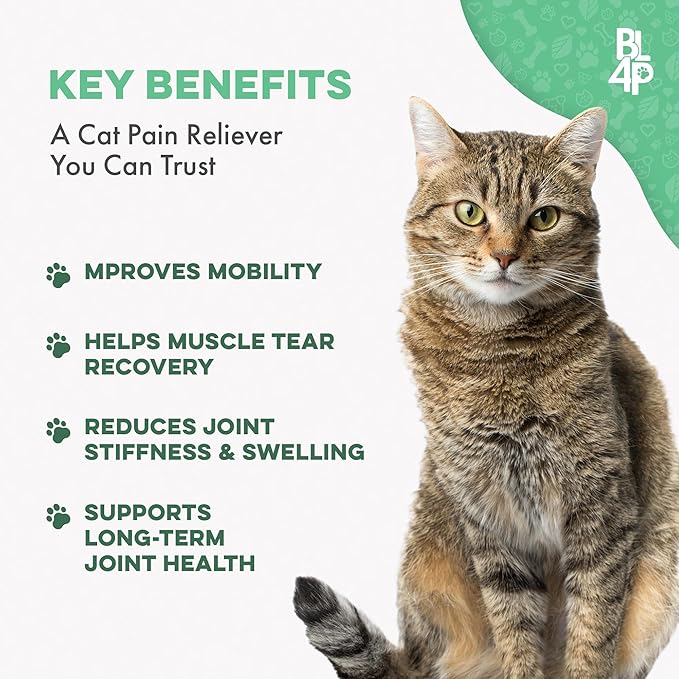 Cat Hip and Joint Pain Relief Supplement, Cat Arthritis Pain Relief, Heal from Sprains, Inflammation and Injuries, Improve Mobility, Natural Easy-to-Swallow, Odorless, Tasteless, 400 Pills-PawvioPets