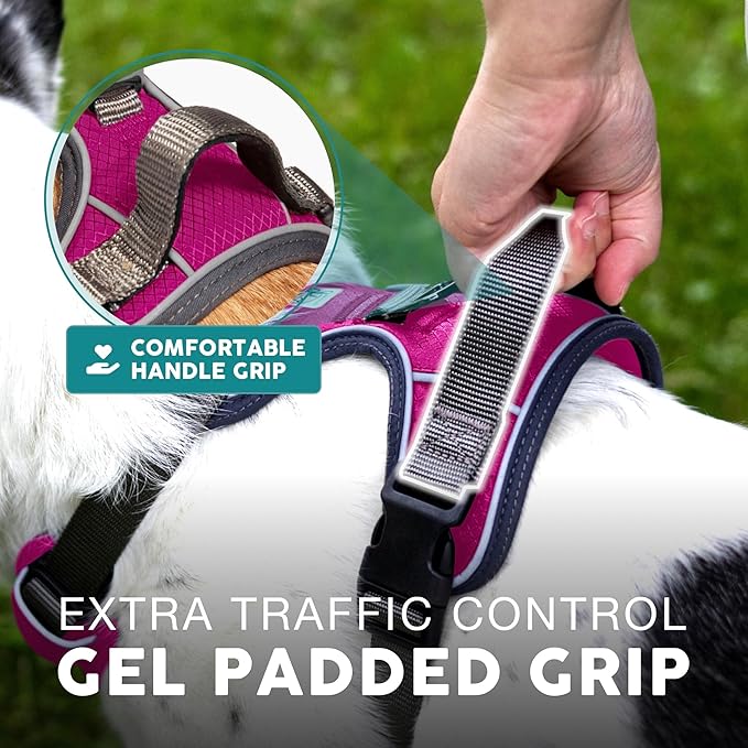 Embark Adventure Dog Harness, Reflective Trim No Pull Dog Harness for Large Dogs - Military Grade Nylon, Front Clip with Gel Lined Handle.-PawvioPets