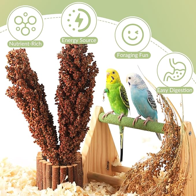 Fhiny Millet Spray for Birds, 6 PCS Natural Sun-Dried Red Sorghum Grain for Birds Seed Original Parrot Treats & Supplement Parakeet Food for Cockatiels Lovebirds Finches Budgies Pigeons Hamsters-PawvioPets