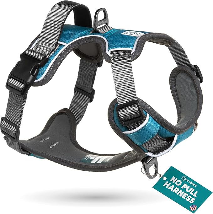Embark Adventure Dog Harness, Easy On and Off with Front and Back Leash Attachment Points & Control Handle - No Pull Training, Size Adjustable and No Choke (Small - Teal Blue)-PawvioPets