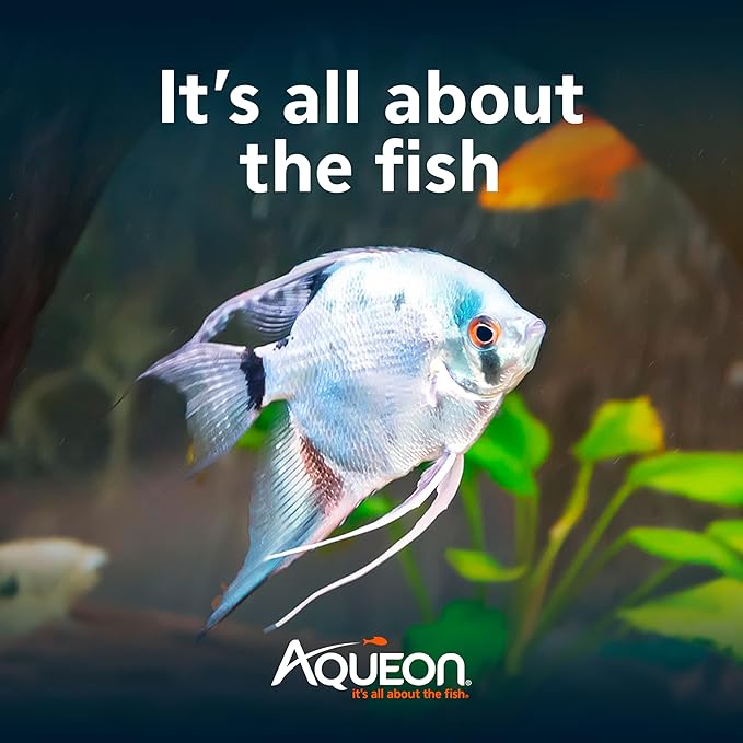 Aqueon 20 Gallon Aquarium Starter Kit with SmartClean Filtration and LED Lighting for Tropical Freshwater Fish-PawvioPets