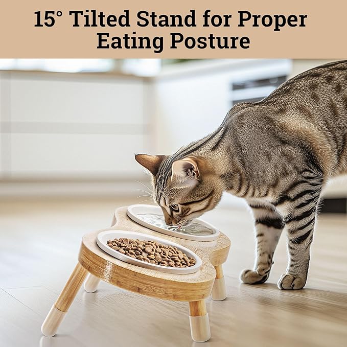 Elevated Cat Bowls - Set of 2 Ceramic Pet Food Bowls with Anti-Slip Bamboo Stand - 15 Degree Titled - Raised Dog Bowl for Small Dogs - Raised Cat Bowl Stand - Pet Feeding Station for Cats & Small Dogs-PawvioPets