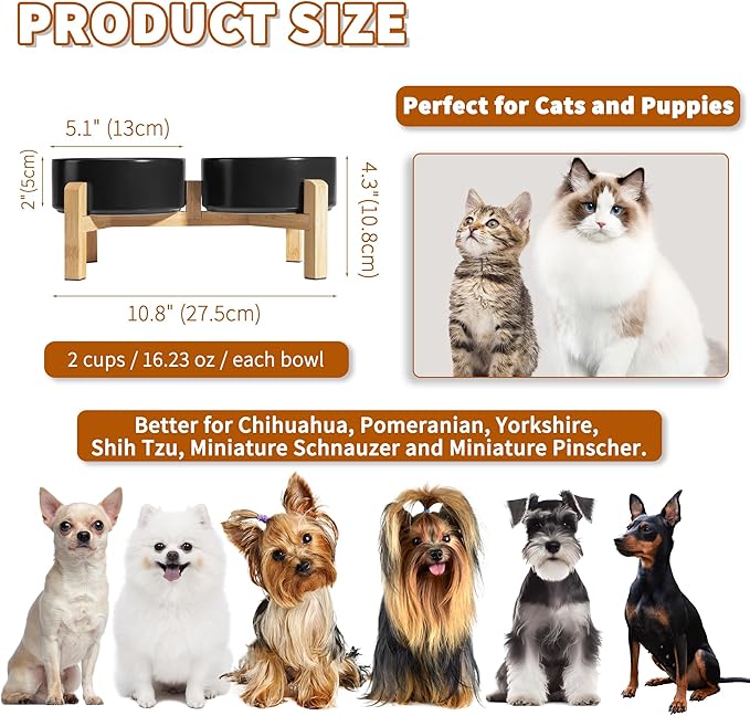 Elevated Ceramic Dog Bowl Set - Raised Feeding Bowls with Non-Slip Bamboo Stand - Small Pet Dishes for Food and Water - Ideal for Cats and Puppies - 16.23 OZ - 2 Cups - 480 ML-PawvioPets