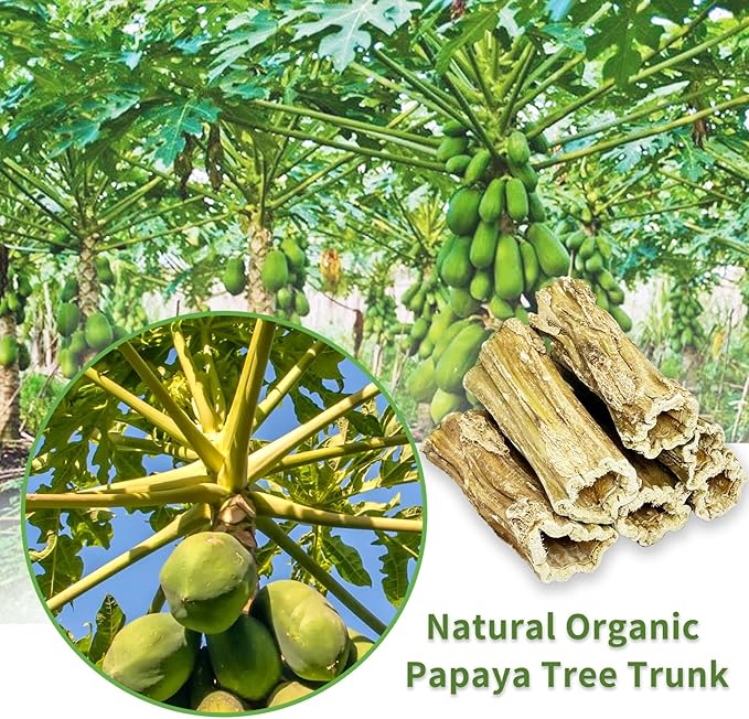 Fhiny Rabbit Chew Toys, 6 PCS 3.9" Natural Papaya Wood Chew Sticks Guinea Pig Treats for Dental Care Bunny Treats for Rabbits Small Pet Molar Snacks for Bunny Guinea Pig Chinchilla Hamster Gerbil-PawvioPets