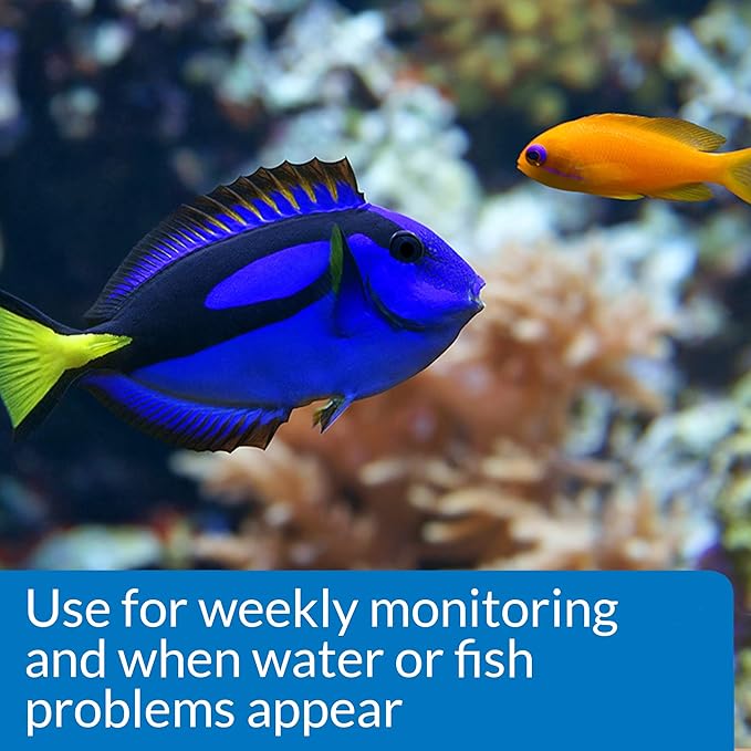 API SALTWATER MASTER TEST KIT 550-Test Saltwater Aquarium Water Test Kit-PawvioPets