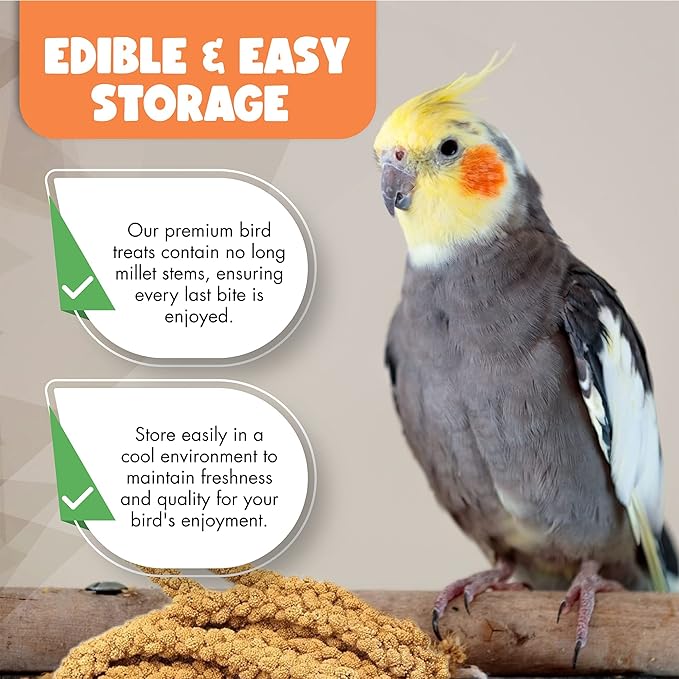 5LBS GMO-Free Sun Dried Spray Millet - Original Bird Treat Millet for Parakeets, Cockatiels, Finches & More - Non-GMO, High in Amino Acids, Easy Storage, Tasty & Healthy Bird Snacks (5 lbs)-PawvioPets
