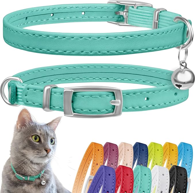 CollarDirect Leather Cat Collar with Bell - Kitten Collar, Small and Big Cat Collar for Boy Cats, Girl Cats with Safety Elastic Strap (Neck Fit 8"-11", Mint Green)-PawvioPets