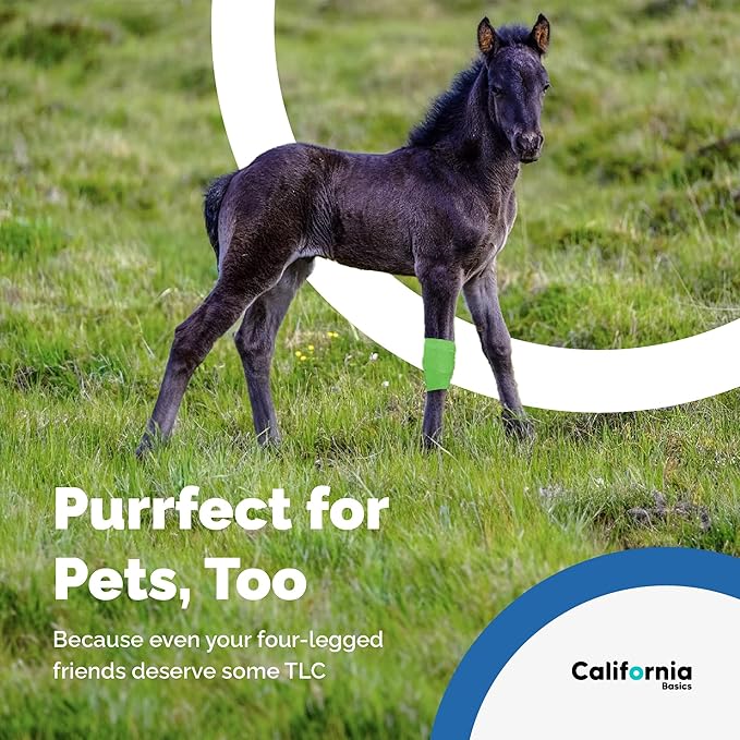 California Basics Self-Adhesive Medical Tape (2 inch) - Pack of 12 - Cohesive Bandage Wrap Rolls - Waterproof Athletic Tape - Self Adhesive Medical Adhesive Bandage Wrap - Vet Stretch Wrap-PawvioPets