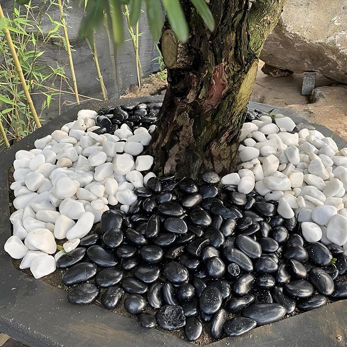 20lb Black River Rocks - 2-3 inch Polished Pebbles for Plants, Decorative Stones for Large Planters, Landscaping, Vases, Aquariums & Fish Tanks-PawvioPets