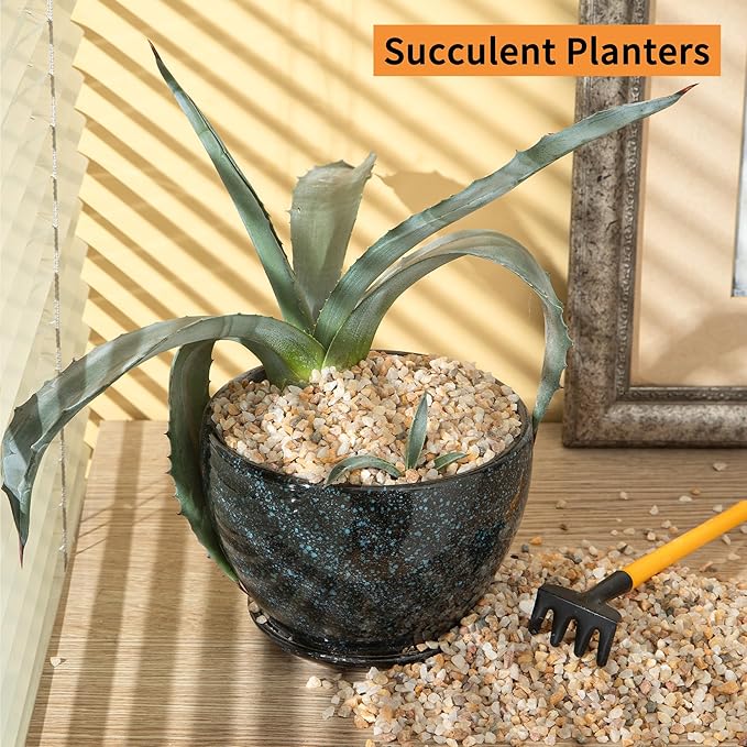 5lb Mixed Sand Rocks Pebbles Pumice Potting Soil Amendment Succulent Cactus Bonsai Gritty Rock Decorative Gravel for Succulents, Bonsai, Vase Fillers,Terrarium Plants-PawvioPets