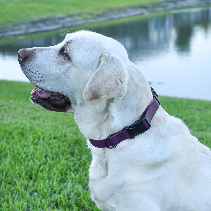 Dogline Biothane Waterproof Dog Collar with Quick Release Buckle Strong Coated Nylon Webbing with Odor- Proof for Easy Care Easy to Clean Fits Small Medium Large Dogs, Purple 5/8" W 9-14" L-PawvioPets