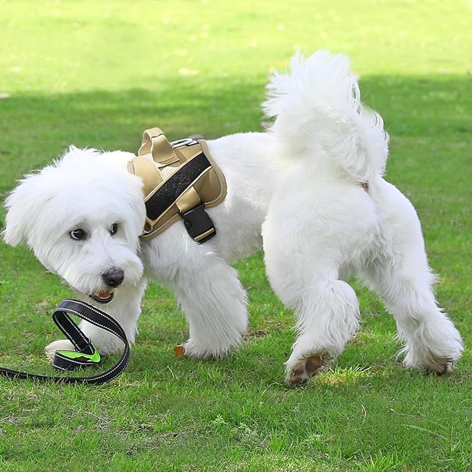 Bolux Dog Harness, No-Pull Reflective Dog Vest, Breathable Adjustable Pet Harness with Handle for Outdoor Walking - No More Pulling, Tugging or Choking-PawvioPets