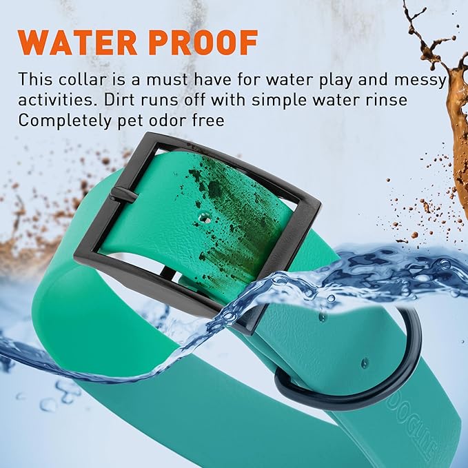 Dogline Biothane Waterproof Dog Collar Strong Coated Nylon Webbing with Black Hardware Odor- Proof for Easy Care Easy to Clean High Performance Fits Small Medium or Large Dogs, Teal-PawvioPets