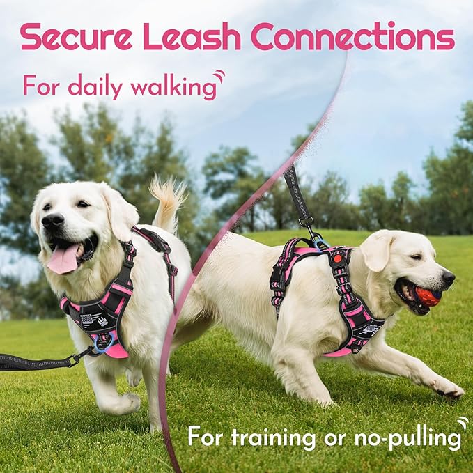 Eagloo Dog Harness Small Sized, Easy Wearing with 3 Buckles, Adjustable No Pull Pet Harness with 2 Rings for Walking, No Chock Reflective Soft Padded Vest with Control Handle, Pink & Black, S-PawvioPets