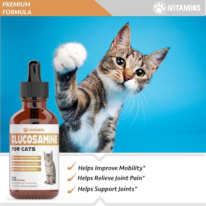 Glucosamine for Cats | Cat Glucosamine | Glucosamine for Cats Liquid | Cat Joint Supplement | Joint Supplement for Cats | Cat Joint Pain Relief | Joint Support for Cats | 1 fl oz: Chicken Flavor-PawvioPets