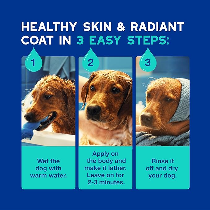 DOUXO® Skin & Coat SPA - Ultra-Safe Odor Control Dog Shampoo for Smelly Dogs, 16 fl oz, Cleans and Hydrates The Skin, Removes Odor, Leaves The Coat Soft and Smelling Great, Skin-Friendly Formula-PawvioPets