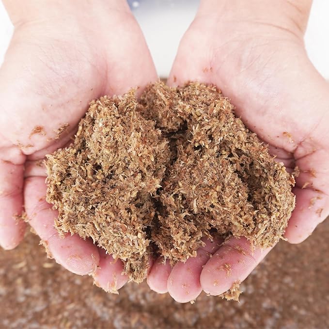 2 Quarts Organic Fiber Substrate for Pet Snail, Ideal Snail Terrarium Accessories for Retains Moisture-PawvioPets