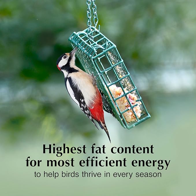 C&S Peanut Butter Delight No Melt Suet Dough, Suet Cakes for Wild Birds, 11.75 Ounces, Pack of 8-PawvioPets