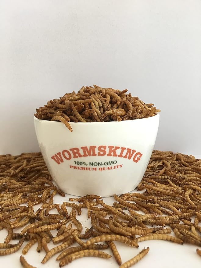 5LB Dried Black Soldier Fly Larvae, More Calcium Than Dried Mealworms, High Protein Chicken Feed,Duck Food, BSFL, Poultry Treats-PawvioPets