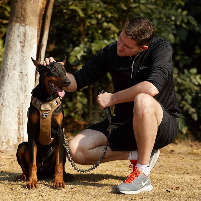 BUMBIN Tactical Dog Harness for Large Dogs No Pull, Famous TIK Tok No Pull, Fit Smart Reflective Pet Walking Harness for Training, Adjustable Dog Vest Harness with Handle Brown L-PawvioPets