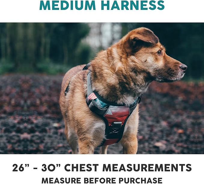 Embark Adventure Dog Harness, Reflective Trim No Pull Dog Harness Medium Sized Dogs - Military Grade Nylon, Front Clip with Gel Lined Handle.-PawvioPets