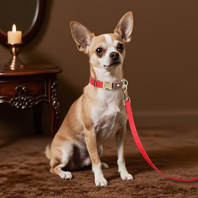 Didog Soft PU Leather Dog Collars for Small Dogs,Classic Adjustable Dog Collars with Quick Release Metal Buckle,Easy Clean and Comfortable with Nylon Lining,Red,S Neck 10-15"-PawvioPets