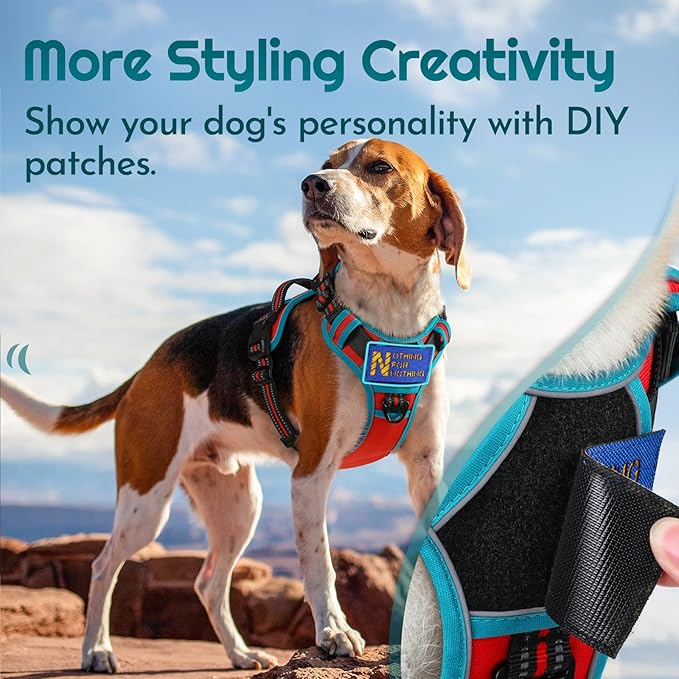 Eagloo Dog Harness for Large Dogs, Easy Wearing with 3 Buckles, Adjustable No Pull Pet Harness with 2 Rings for Walking, No Chock Reflective Soft Padded Vest with Control Handle, Red & Teal, XL-PawvioPets