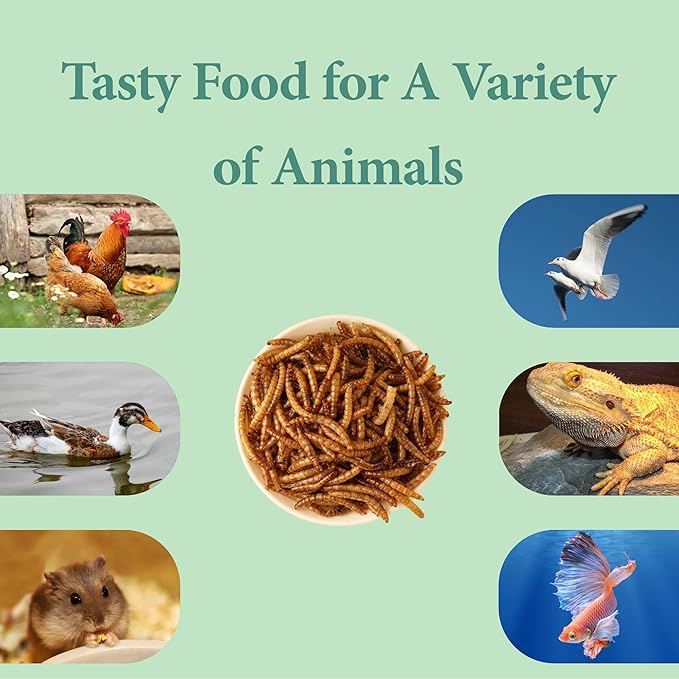 10LB Dried Mealworms, High Protein Meal Worms for Poultry, Wild Birds, Hedgehogs, Hamsters, Reptiles, Great Chicken Food, Bird Food-PawvioPets