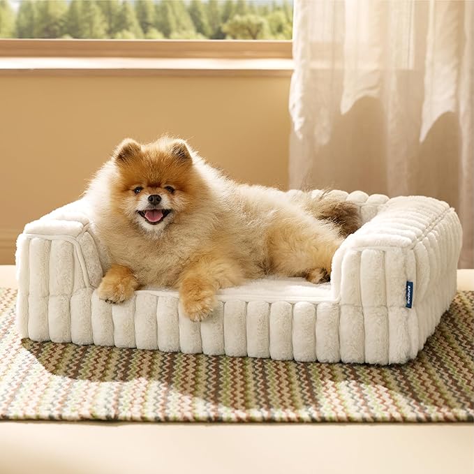Bedsure Orthopedic Dog Bed for Small Dogs, Waterproof Memory Foam Small Pet Beds with Sides, Non-Slip Bottom and Egg-Crate Foam Medium Dog Couch Sofa with Washable Removable Corduroy Cover, Cream-PawvioPets