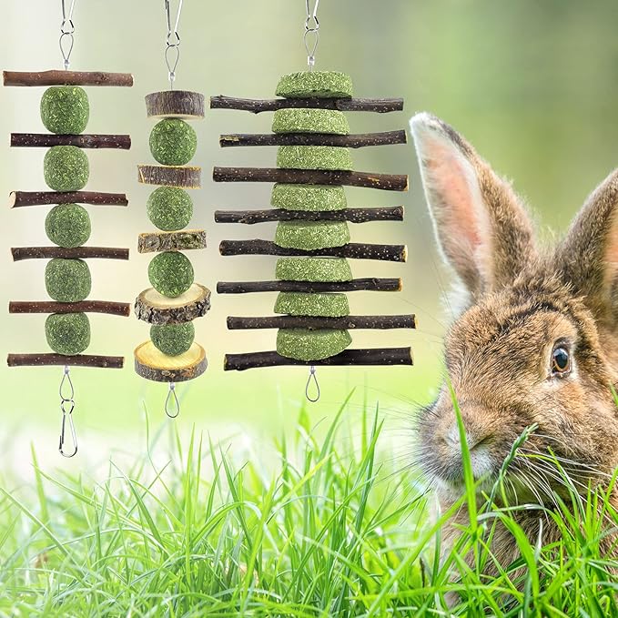 ERKOON Bunny Chew Toys, Rabbit Chew Toys for Teeth Grinding, Improve Dental Health, 100% Natural Apple Wood Timothy Grass Cake Treats for Rabbits Guinea Pigs Chinchillas Bunnies Hamsters (3 Pcs)-PawvioPets