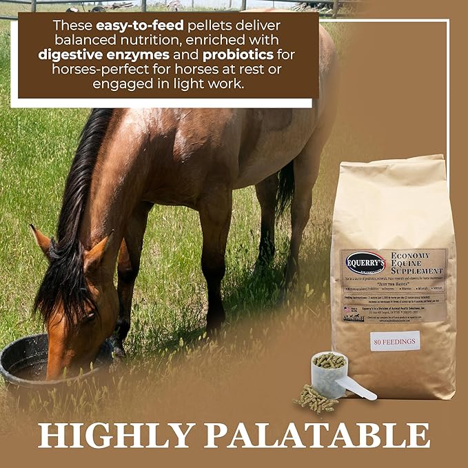 Equerry's Economy Equine Supplement - Horse Probiotics | Supplement for Horses | Horse Vitamins and Minerals Supplement with Enzymes and Selenium, 10lb-PawvioPets