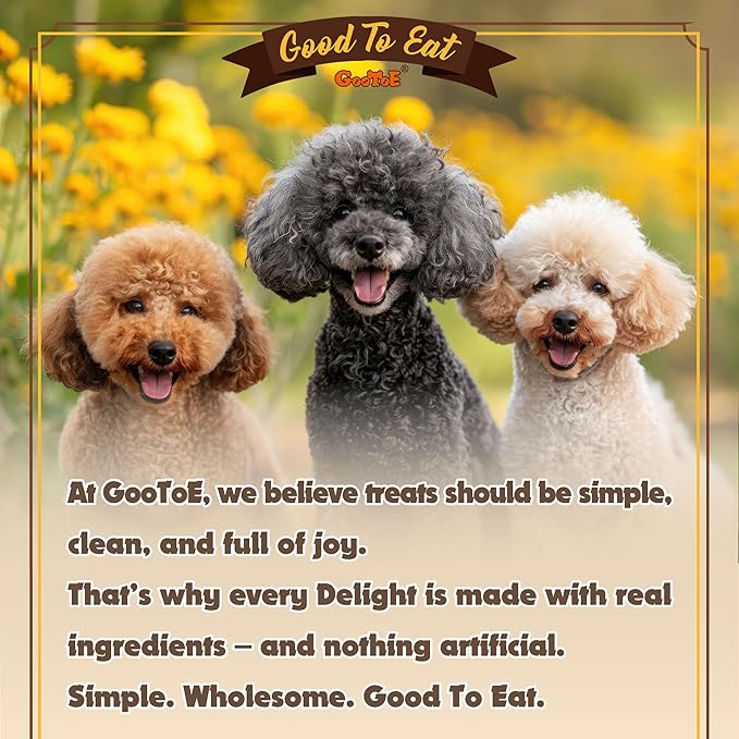 Gootoe Turkey Tendon Dog Treats, Stick (M) 3.17 oz, USA-Sourced Turkey Tendon, Natural Snack, Premium Puppy Chews, Hypoallergenic, Rawhide Free, Reseal Value Bags, Size for Medium Dogs-PawvioPets