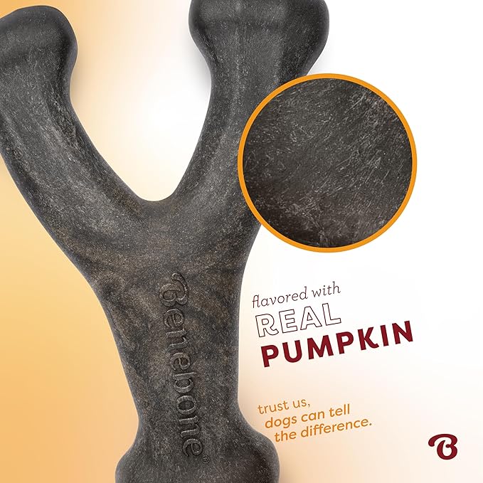Benebone Pumpkin Spice Wishbone – Limited Edition Flavor, Durable Dog Chew Toy for Aggressive Chewers, Made in USA, Large-PawvioPets