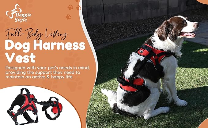 Doggie Stylz Multi-Functional Full-Body Lifting Dog Harness Vest, Designed for Front-Only, Rear-Only or Full-Body Lifting. Please Measure Your Dog Before Ordering.-PawvioPets