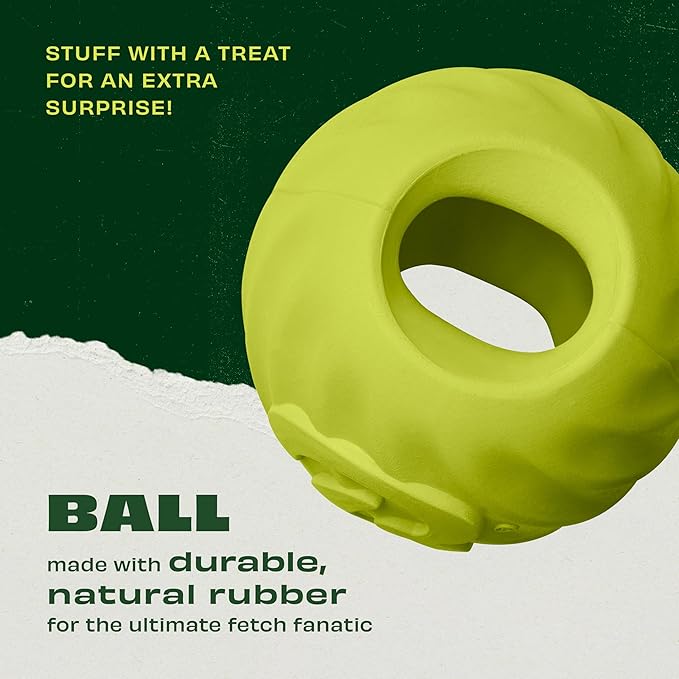Benebone 2-Pack Rubber Ball-PawvioPets