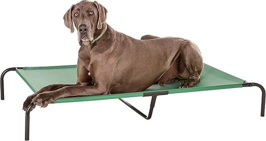 Amazon Basics Cooling Breathable Elevated Dog Bed with Durable Metal Frame, for Large Dogs, X-Large, 60 x 37 x 9 Inch, Green-PawvioPets