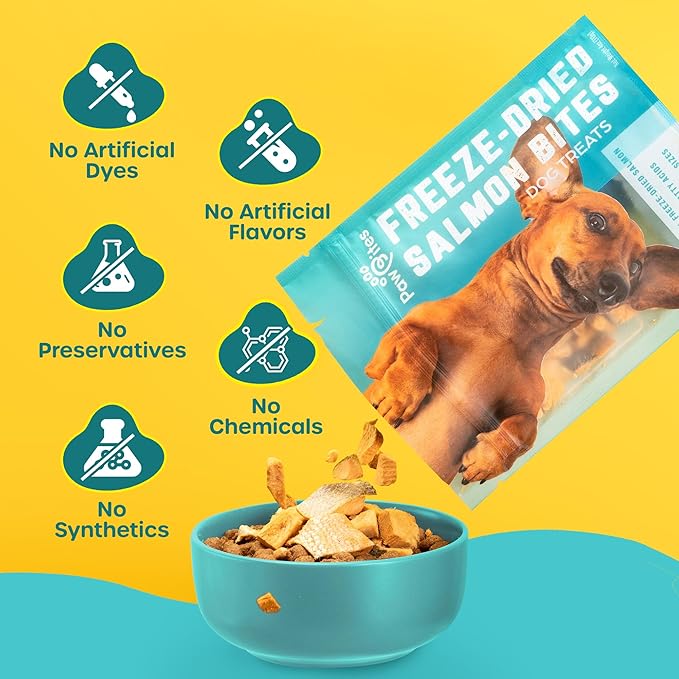 Freeze Dried Dog Treats - Wild Caught Salmon - Dog Food Dry Snacks - with Protein & Omega 3s - for All Breeds & Sizes - No Artificial Flavors & Dyes, No Preservatives - 1 Pouch, 4 oz-PawvioPets