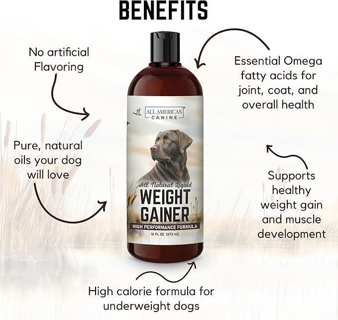 Dog Weight Gainer Liquid – High Calorie Dog Food Supplement for Rapid Weight Gain, Mass, and Recovery – Appetite Stimulant – 60 Servings-PawvioPets