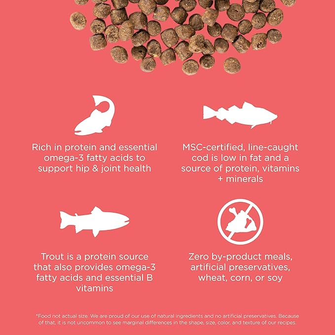 Go! Solutions Carnivore, Grain-Free, Protein Rich Dry Cat Food, Salmon and Cod Recipe, 3 lb Bag-PawvioPets